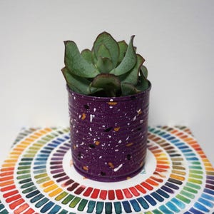 Peut inclure: Une plante succulente dans une boîte de conserve peinte en violet avec des taches blanches et dorées. La boîte est posée sur un fond circulaire coloré.
