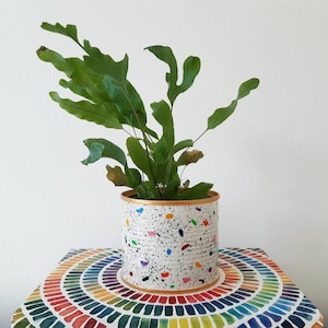Op de afbeelding: Een groene varenplant in een witte keramische pot met kleurrijke stippen. De pot heeft een gouden rand en staat op een kleurrijke ronde tafel.