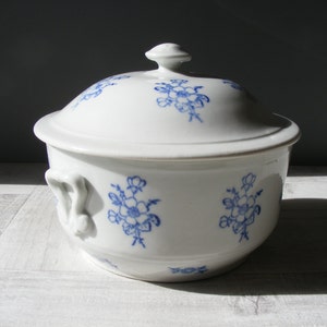 Romantic French Vintage Tureen with a blue floral pattern.Saint VALLIER.
