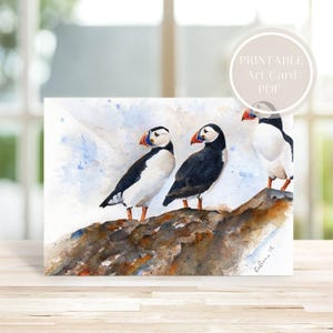 Carte de correspondance aquarelle Puffins Rock, carte de voeux d'art imprimable, téléchargement immédiat, PDF, vierge toutes les occasions