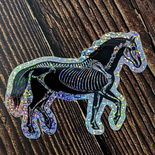 Horse Sticker Vinyl Nonfade Skeleton Decal Laptop Sticker Etsy