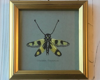 Original art:  Libelloides macaronius or Owlfly - watercolor painting, ready to hang. Unique vintage nature illustration