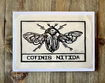 Original Linocut Print: Cotinis Nitida, or green June Bug or June Beetle, signed and numbered by artist