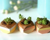 Geometric Mini Planters set of 3, for succulents, Home Decor