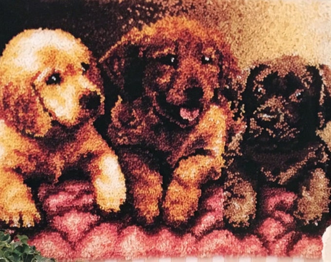 Dog Latch Hook Kit Caron Wonderart Lab Puppies Latch Hook Kit 4386