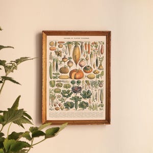 Puede incluir: Una ilustración botánica vintage de diversas verduras y hortalizas de raíz, enmarcada en un marco dorado. La ilustración incluye una variedad de verduras, incluyendo zanahorias, nabos, cebollas y patatas.