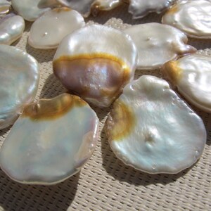 20x28mm Natural White Keshi Cultured Freshwater Pearl PL167