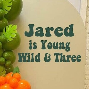 Young Wild and Three Birthday Decal for Backdrop | Third Birthday Theme | Boy Girl Birthday | Young Wild and Three Birthday Decorations