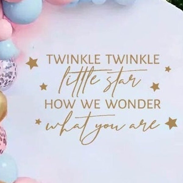 Twinkle Twinkle Little Star How We Wonder What You Are Gender Reveal Party Decal. Gender Reveal Party Decorations He or She Baby Shower