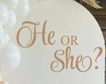 He or She Gender Reveal Decal for Balloon Arch DIY Sign, Girl or Boy Baby Shower Sign Decor, Boy or Girl Gender Reveal Party Decorations