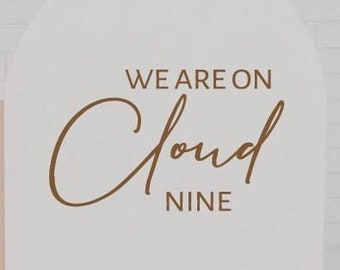 We Are On Cloud Nine Baby Shower Party Decal Sign | Gender Reveal Girl or Boy Baby Shower Decal Sign | Baby Shower Decorations for Girl Boy