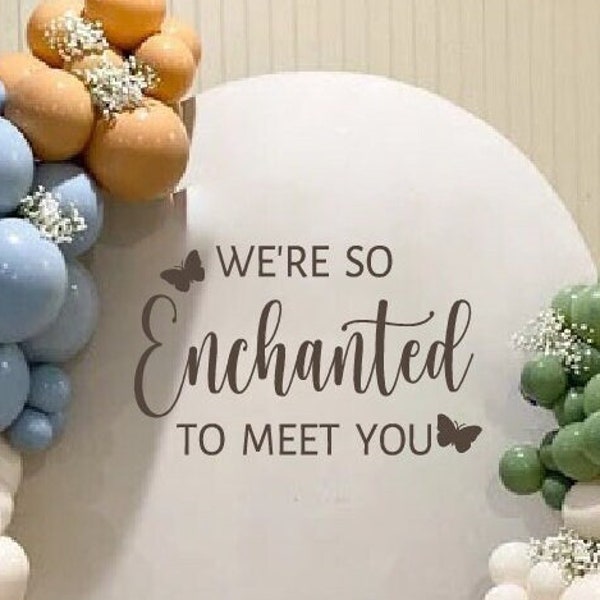 We're So Enchanted to Meet You Baby Shower Party Decal | Baby Shower Gender Reveal Party Decorations and Decor | Girl or Boy Baby Shower