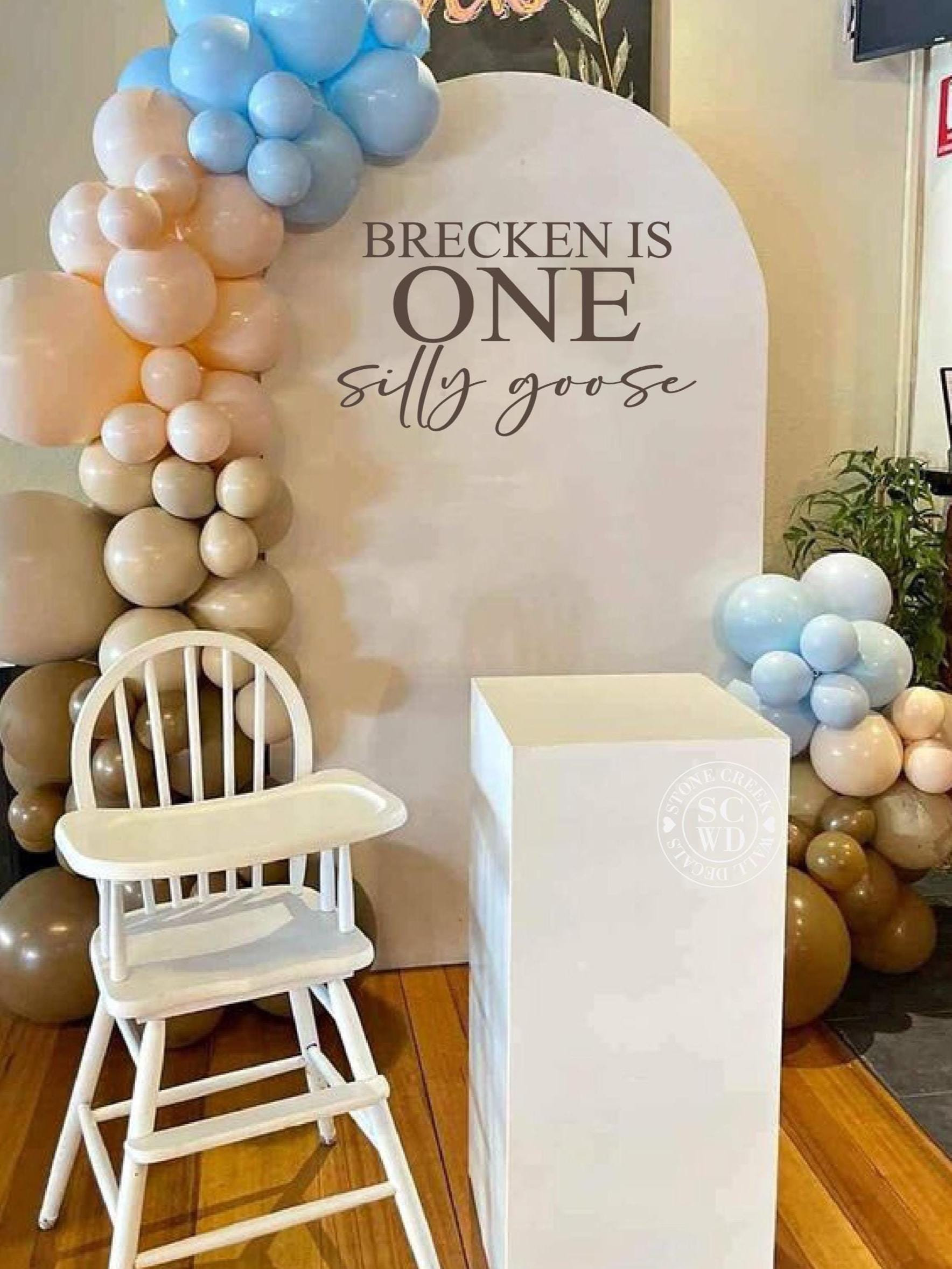 One Silly Goose Personalized First Birthday Party Decal. First Birthday Decorations Decor Boy Girl. Birthday Girl Boy. Birthday One Year Old
