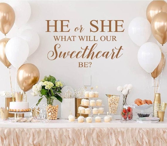 He or She What Will Our Baby Be Gender Reveal Party Decorations Decal He or  She Baby Shower Decal Boy or Girl Gender Reveal Baby Shower -  Canada
