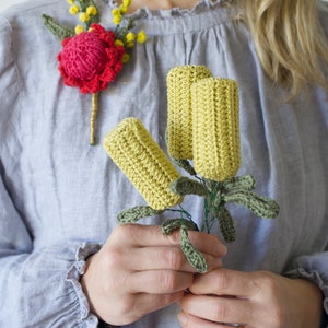 Let's Make Australian Wildflowers! Crochet Australian wildflowers with photo rich tutorials.