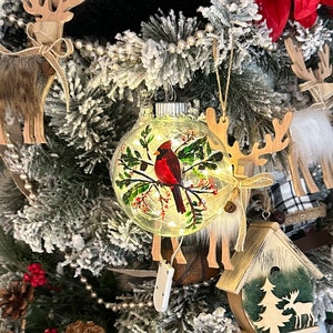 Painted Cardinal, Beautiful Cardinals, Led Lights, Painted Light ...