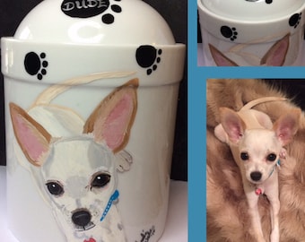 Pet Urn Custom Painted