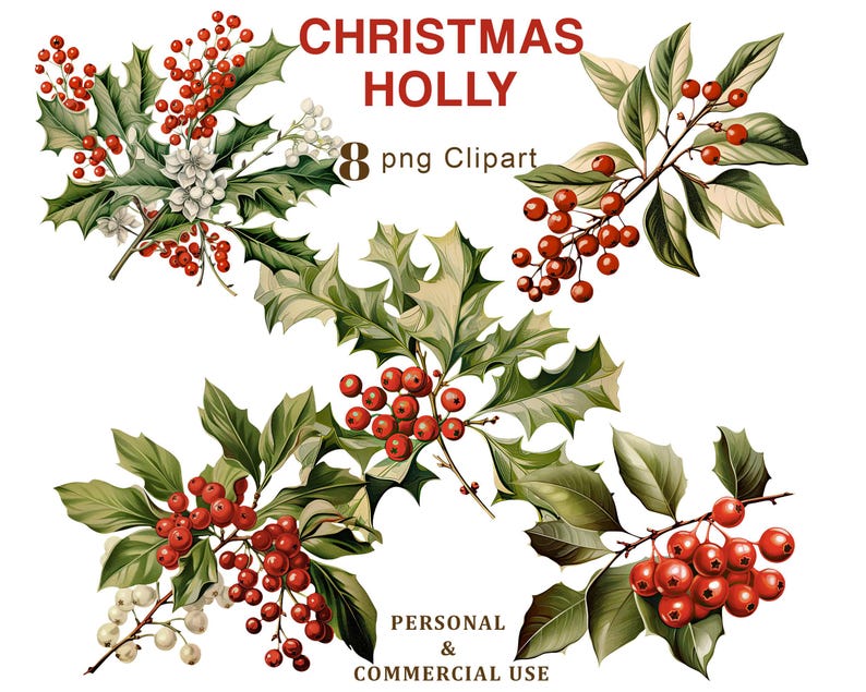 Christmas Holly Leaves Clipart, Christmas Holly Berries PNG Clipart ...