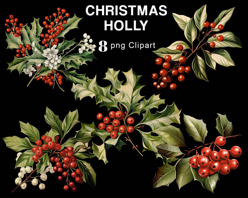 Christmas Holly Leaves Clipart, Christmas Holly Berries PNG Clipart ...