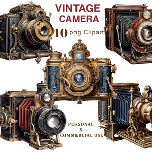 Könnte beinhalten: Zehn Vintage-Kameras mit aufwendigen Details, darunter Messing-, Gold- und Schwarzlackierungen. Die Kameras haben Balgen, Objektive und Sucher. Das Bild ist eine digitale Illustration.