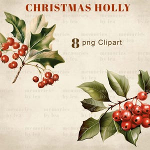 Christmas Holly Leaves Clipart, Christmas Holly Berries PNG Clipart ...