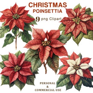 Clipart di Poinsettia vintage, Clipart di Poinsettia PNG, Grafica floreale natalizia, Diario spazzatura, Creazione di biglietti, Scrapbooking, Download digitale