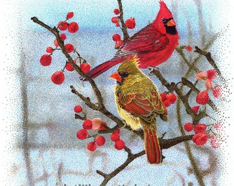 Winter Cardinals