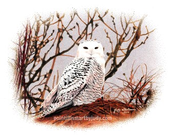 Lisa's Snow Owl art print