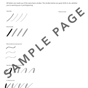 Brush Calligraphy Workbook // Brush Lettering Guide // PDF Download // Digital Download Only image 3