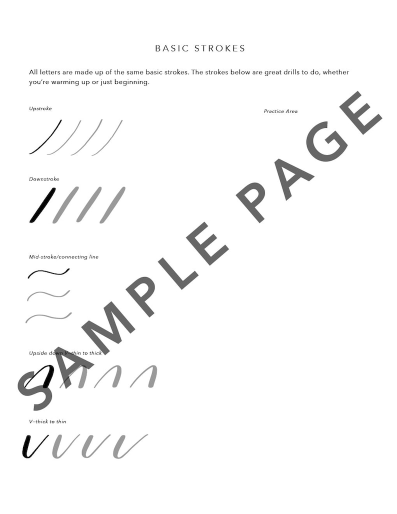 Brush Calligraphy Workbook // Brush Lettering Guide // PDF Download // Digital Download Only image 3