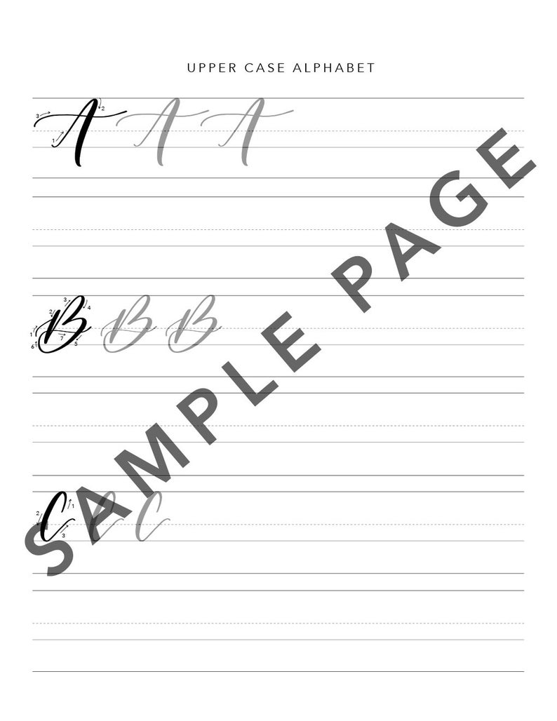 Brush Calligraphy Workbook // Brush Lettering Guide // PDF Download // Digital Download Only image 5