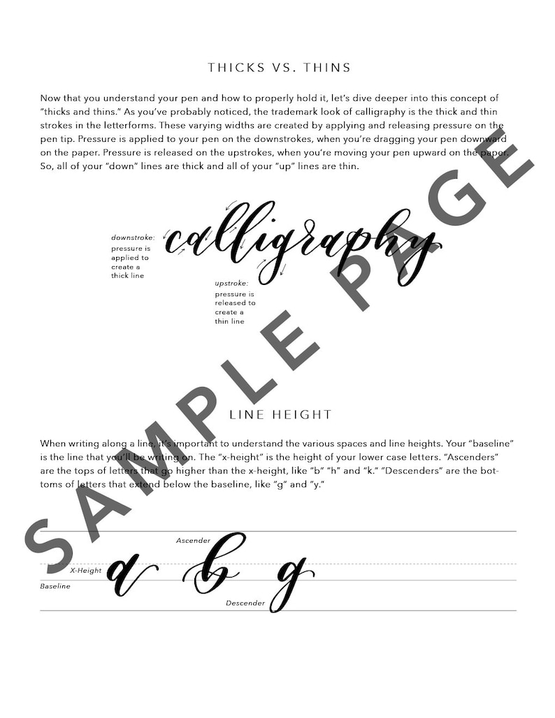 Brush Calligraphy Workbook // Brush Lettering Guide // PDF Download // Digital Download Only image 2