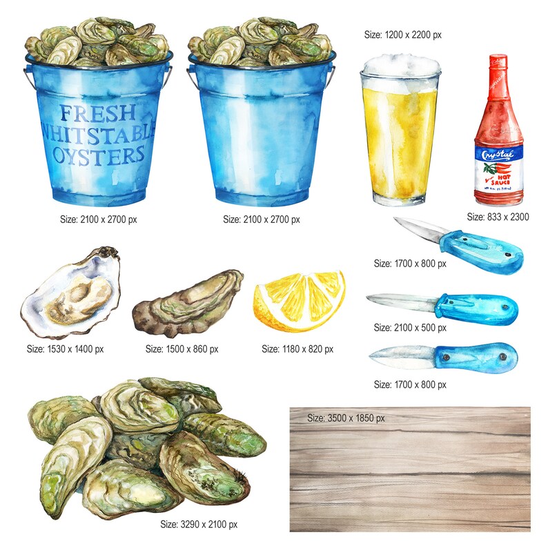 watercolor-roast-oyster-clipart-digital-printable-clipart-etsy