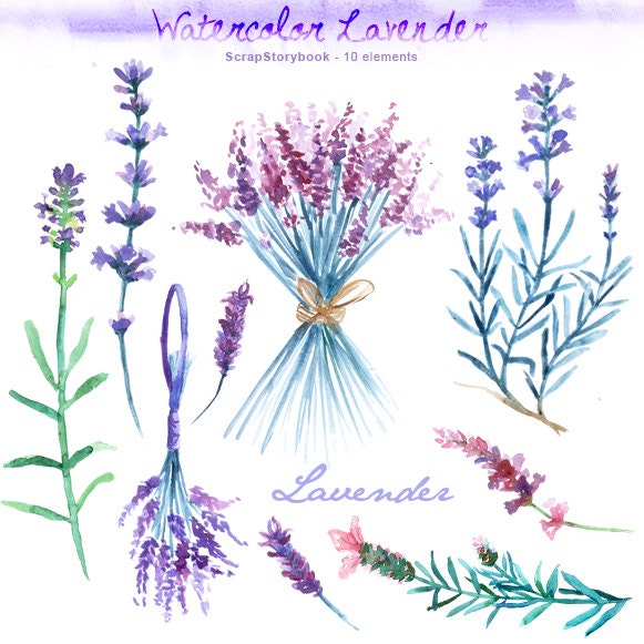 Watercolor Lavender Set Digital Printable Clipart 300 Dpi Etsy