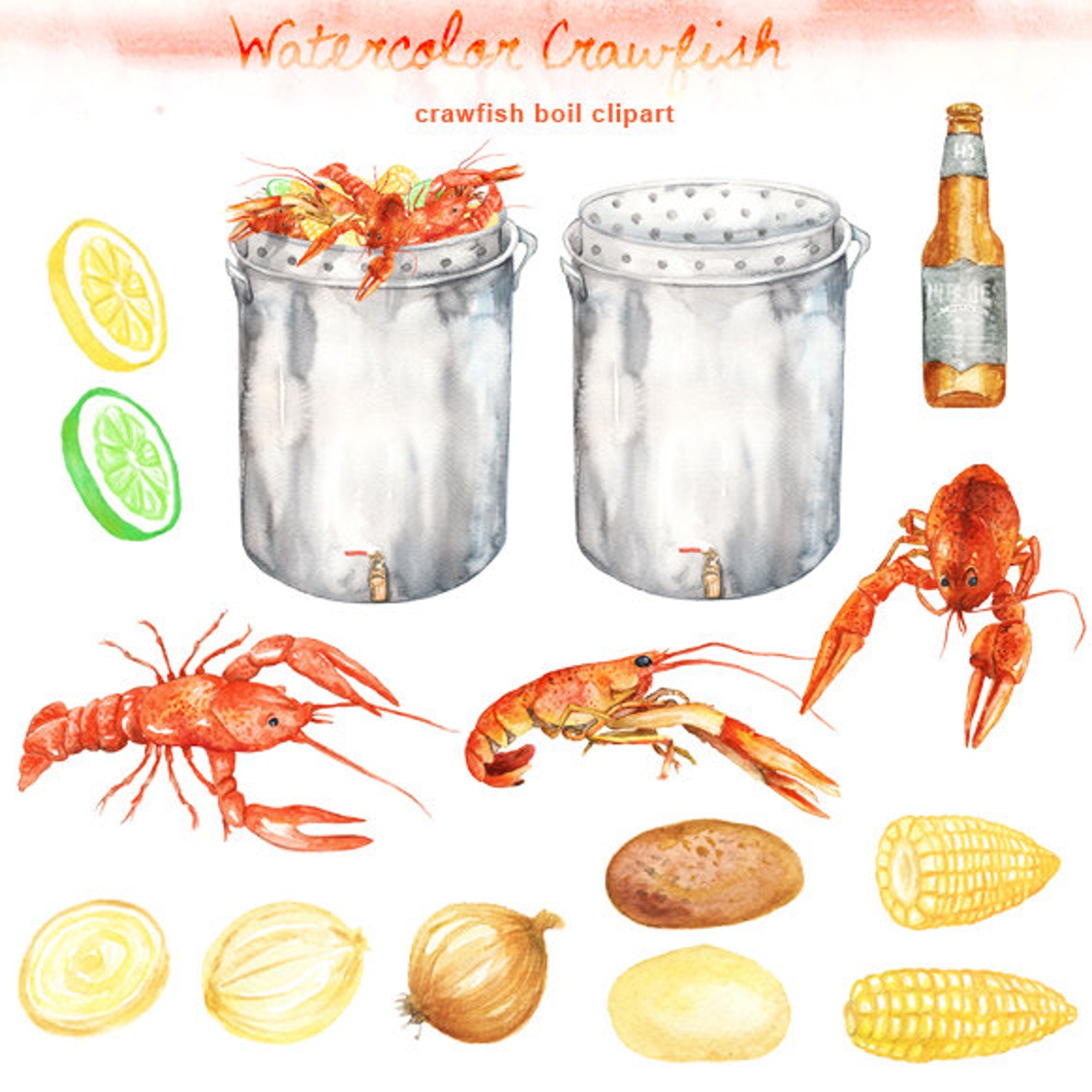 Watercolor Crawfish Boil Clipart Digital Printable Clipart Etsy