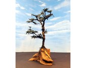 Model Fir Tree Diorama on Myrtlewood Base Natural Scenery Faerie Woodland Evergreen Cypress Tree