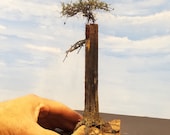 Mini Dead Tree Trunk Stump with Huckleberry Bush Model