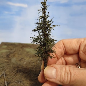 May include: A small, green, artificial pine tree model for model railway or miniature landscaping.