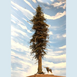 Peut inclure: Un grand pin brun et mince se dresse contre un ciel bleu avec des nuages blancs. Une petite figurine de moose gris foncé se tient devant l'arbre.