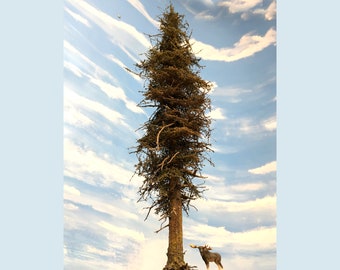Two Model Fir Trees, 13", Model Train, Handmade USA, Premium Quality, Free Ship in 2-4 days, Railroad, Douglas Fir, Spruce, Christmas, READ!