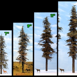 Realistic model trees, Forest diorama, Miniature, scene, Model forest