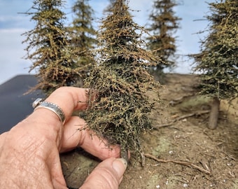 Model Fir Trees, Handmade, 4 to 6 inches, EIGHT, Made From Wood, made in USA, N-HO-O Scales, layout, gift, forest, diorama, railroad, hobby