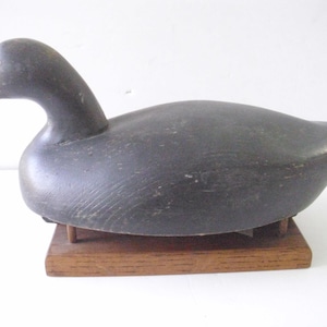 Antique/Vintage Hand Carved Coot Decoy, Coot Decoy, Duck Decoy, Hand Carved Wooden, Wooden Decoy