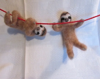 toy poodle trading post