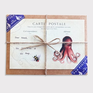 May include: A brown paper envelope with a vintage postcard inside. The postcard features an illustration of an octopus and the text "Carte Postale". The envelope is tied with twine and decorated with blue and white postage stamps that say "Par Pigeon" and "Via Air Mail".