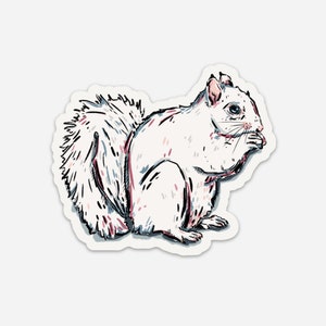 May include: A white squirrel with a bushy tail is sitting on its haunches and eating something. The squirrel is drawn in a cartoon style with pink and blue accents.