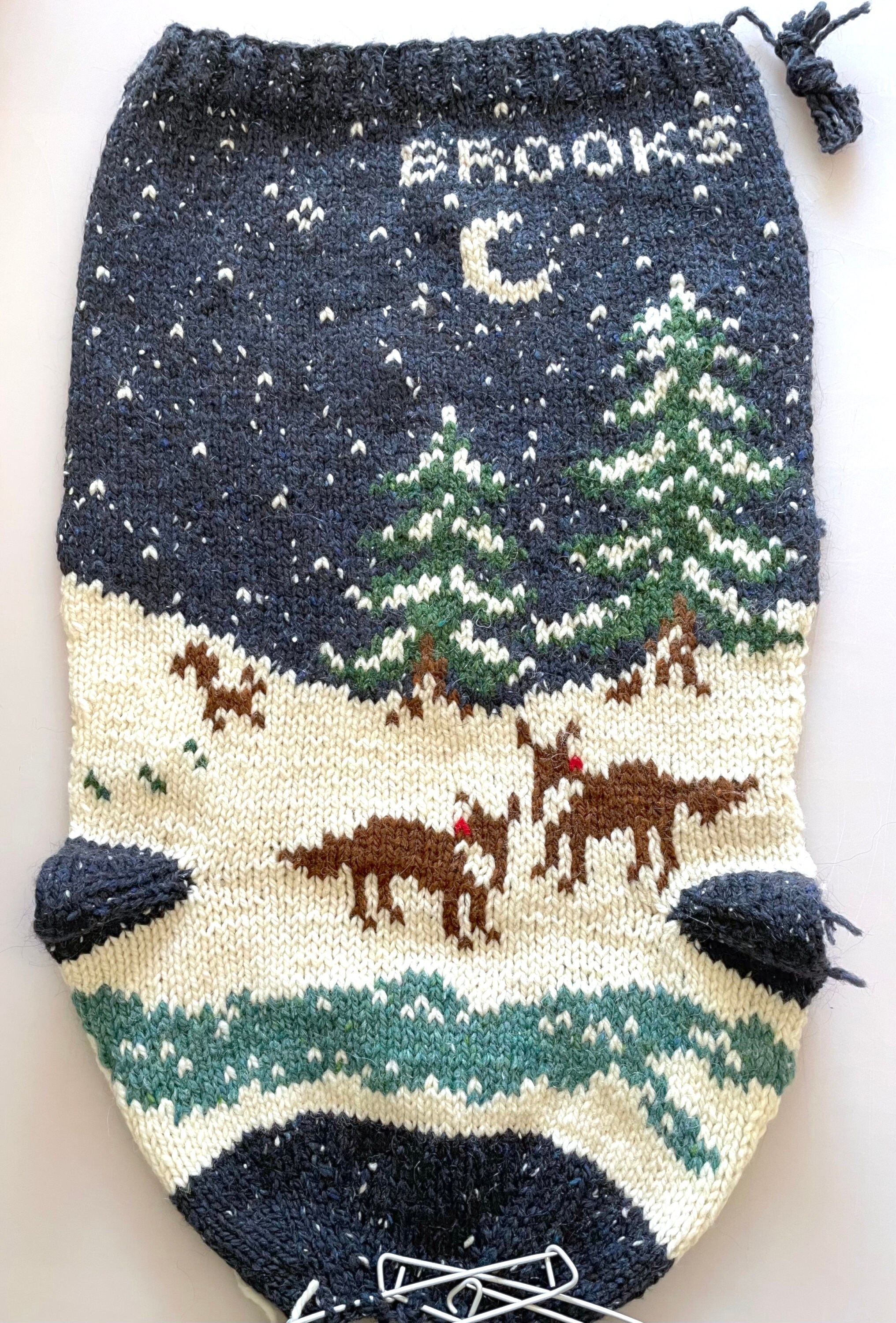 Calza natalizia per cani personalizzata, calza di Natale per cani