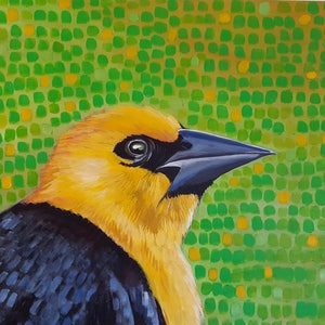 Yellow Headed Black Bird- Matted Print