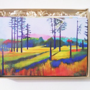 Conjunto de 6 cartas - pinturas de paisagens coloridas