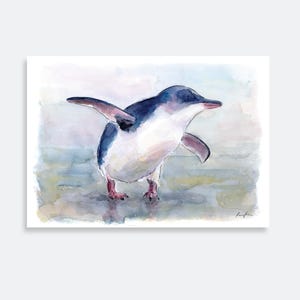Little Blue Penguin / NZ birds illustration / Kororā / New Zealand Print / New Zealand art / New Zealand birds /